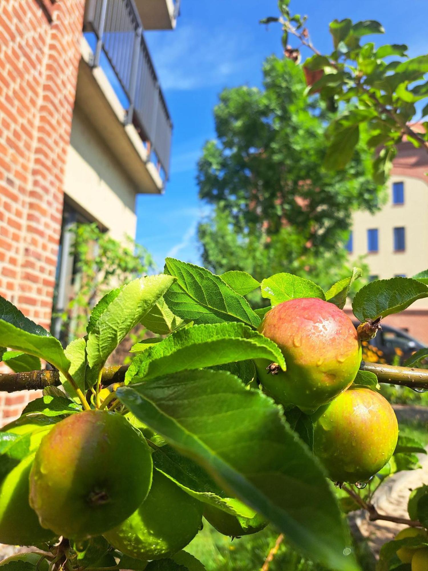 Ferienremise Apartman Brandenburg  Kültér fotó